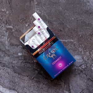 Camel Connect Activate Purple Mint 6 Camel Connect Activate Purple Mint