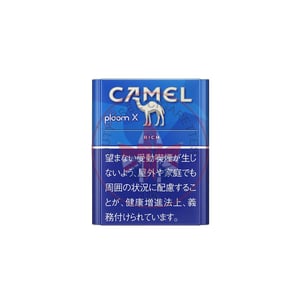 Camel Rich