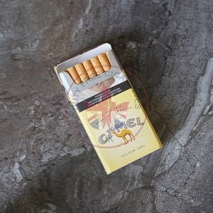 Camel Yellow 100's