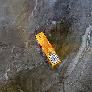 Djarum Forte Cool Mango
