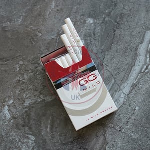 Gudang Garam Mild