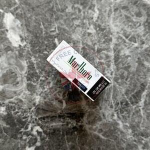 Marlboro Vista Menthol