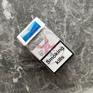Parliament Silver Blue