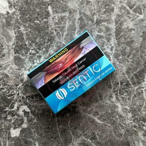 Sentic Mistral