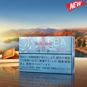 Terea Clear Regular