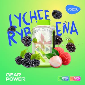 Vozol Gear Power 20000 Lychee Rybena