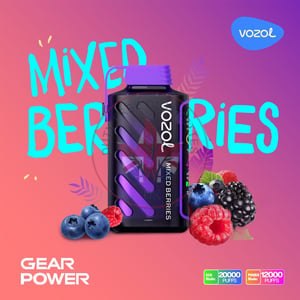 Vozol Gear Power 20000 Mixed Berries