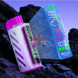 Vozol Gear Power 20000 Mixed Berries