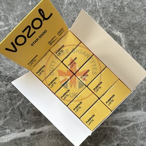 Vozol Star 6000 Pumpkin Latte