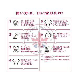 Zero Style Snus Cool Mint Medium